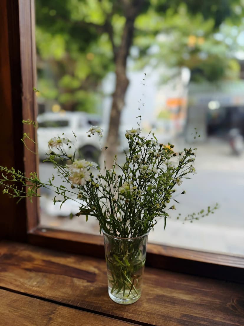 z6916210304926 da449e0379a55dc78895ee8840dfaaae